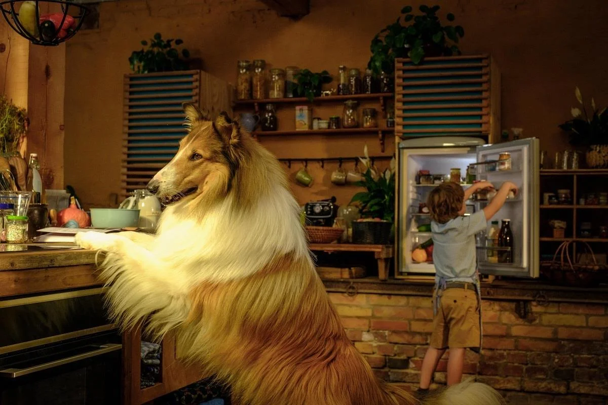 Lassie