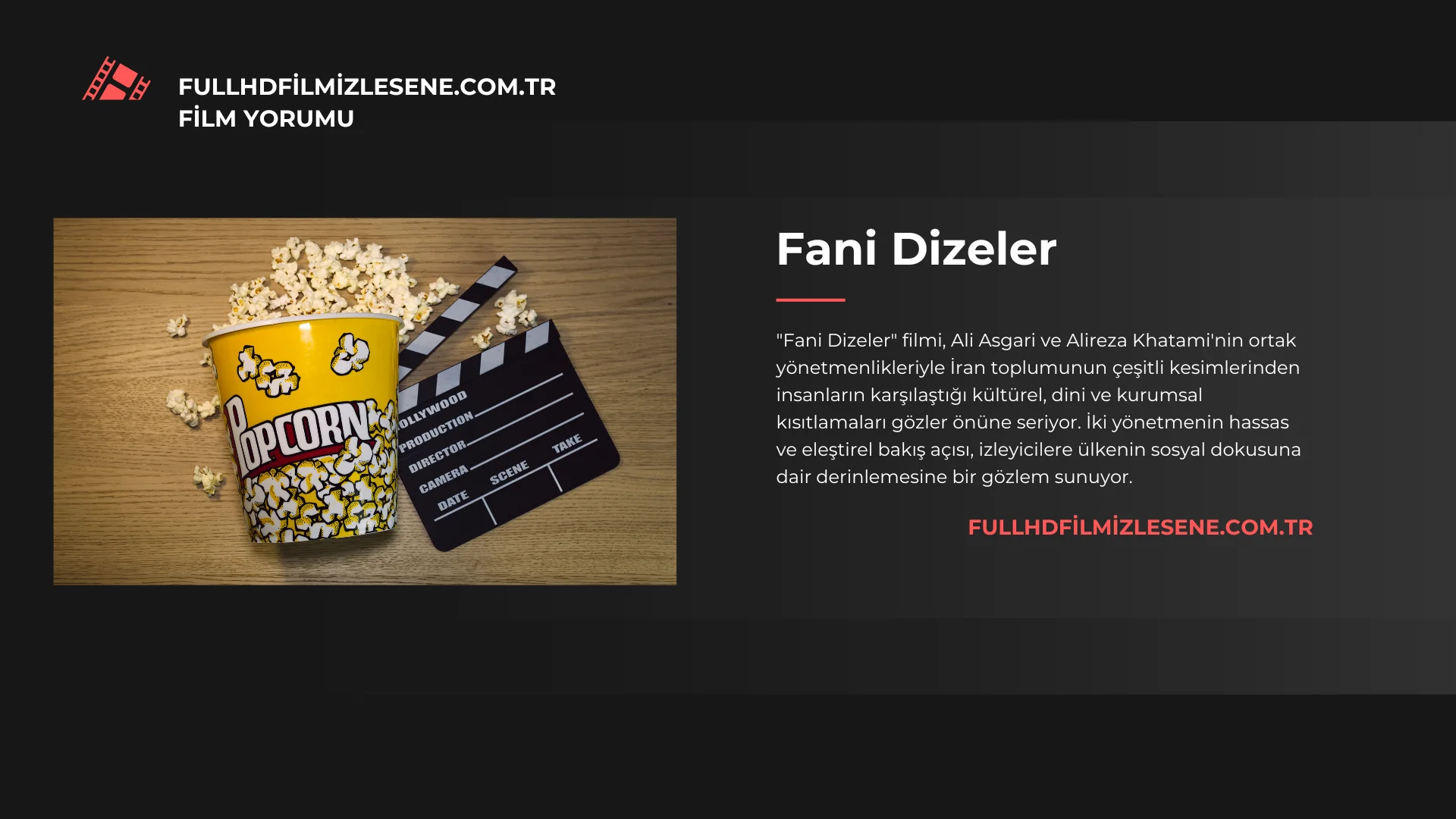 Fani Dizeler