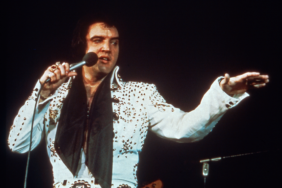 Elvis Presley Konserde