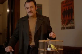 Parçalı Yıllar
